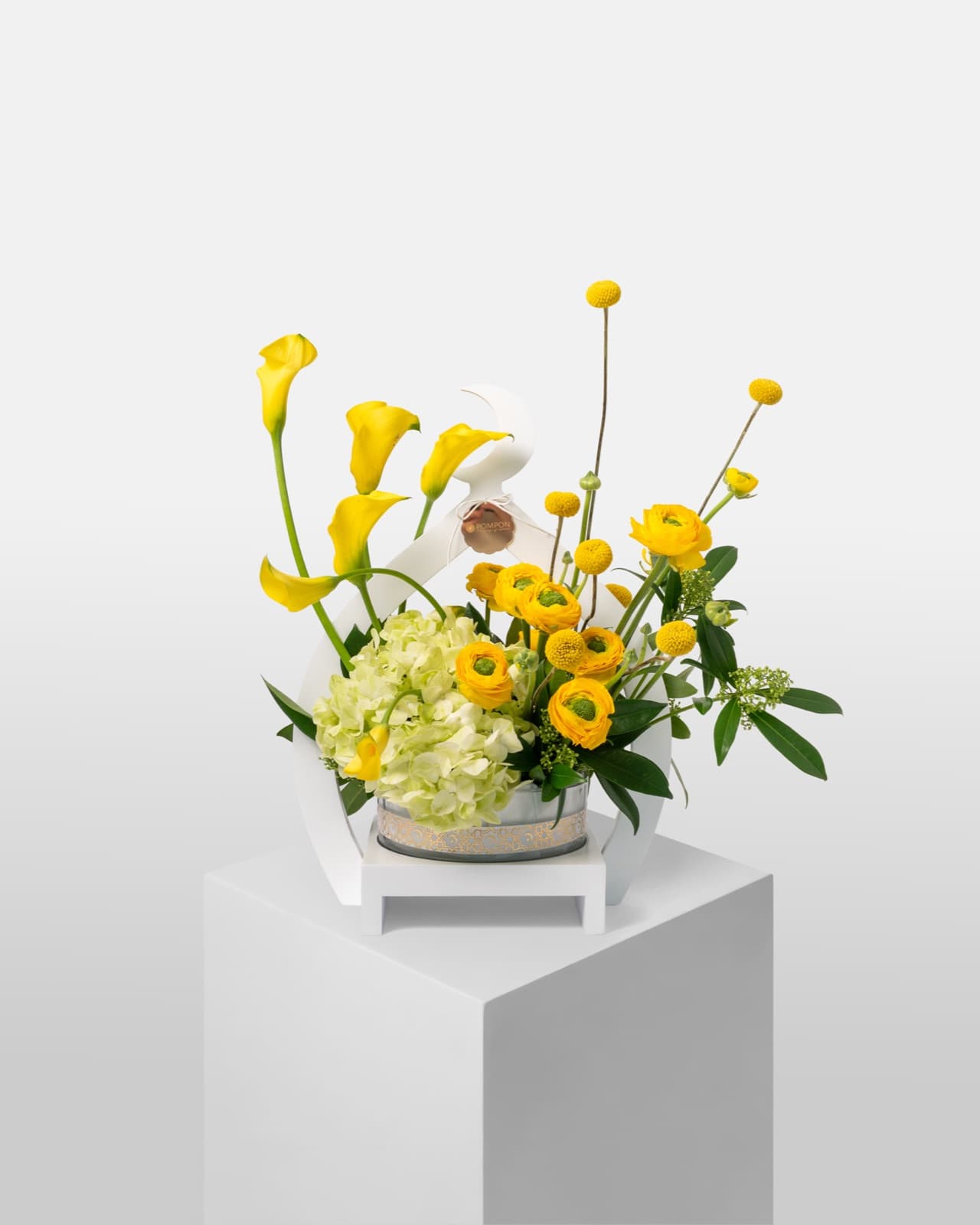 Sunny callas