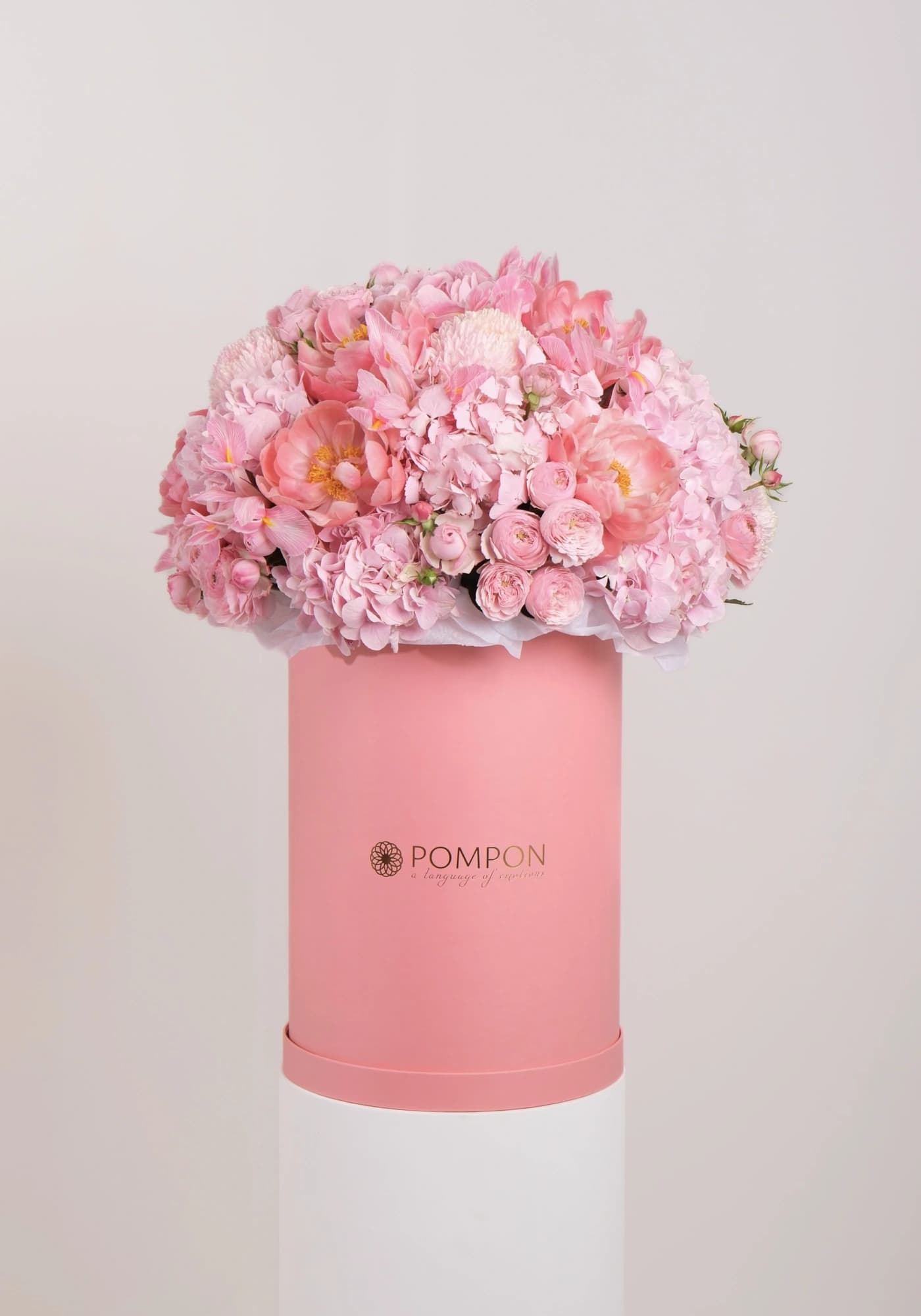 Pink Pompon
