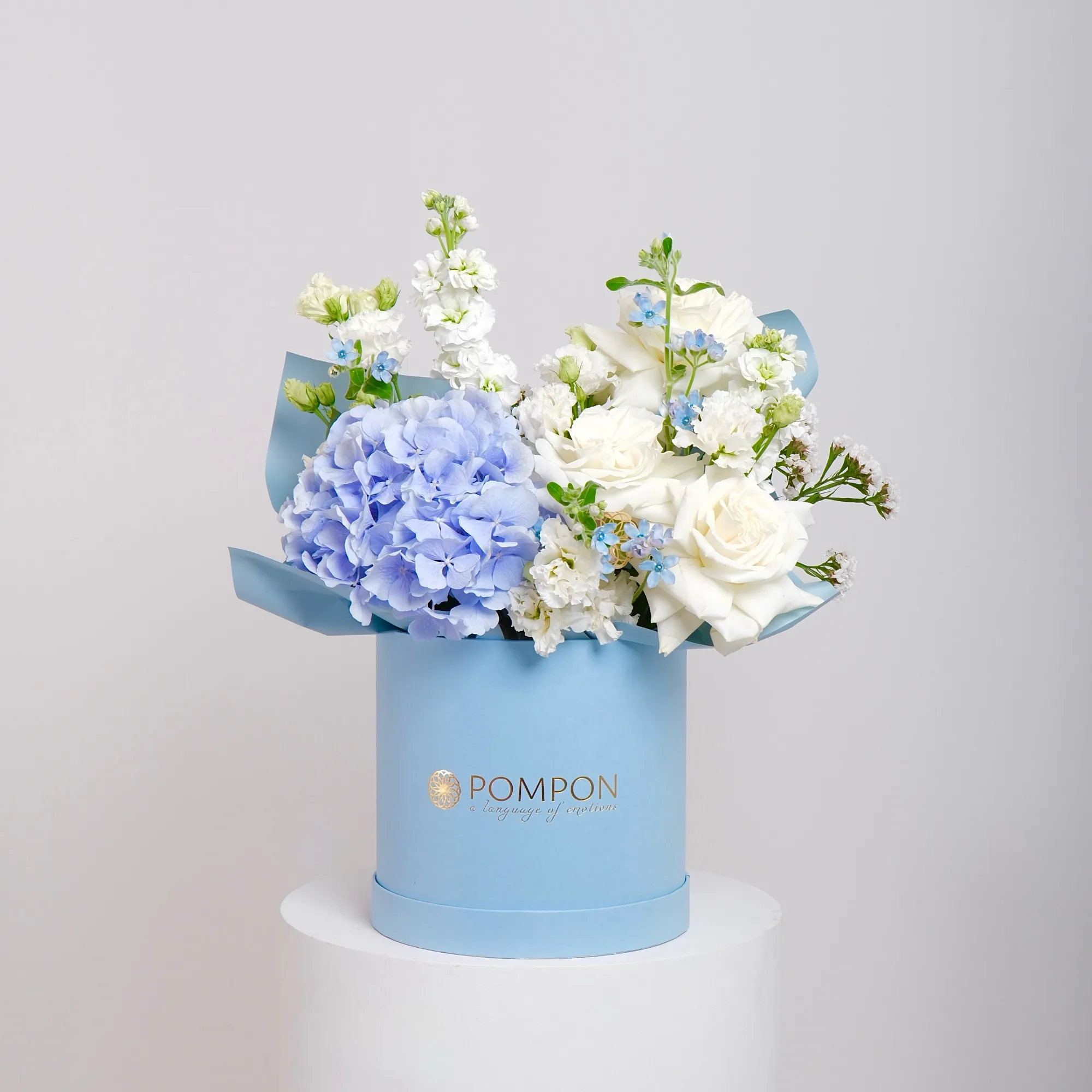 Powder Blue Box