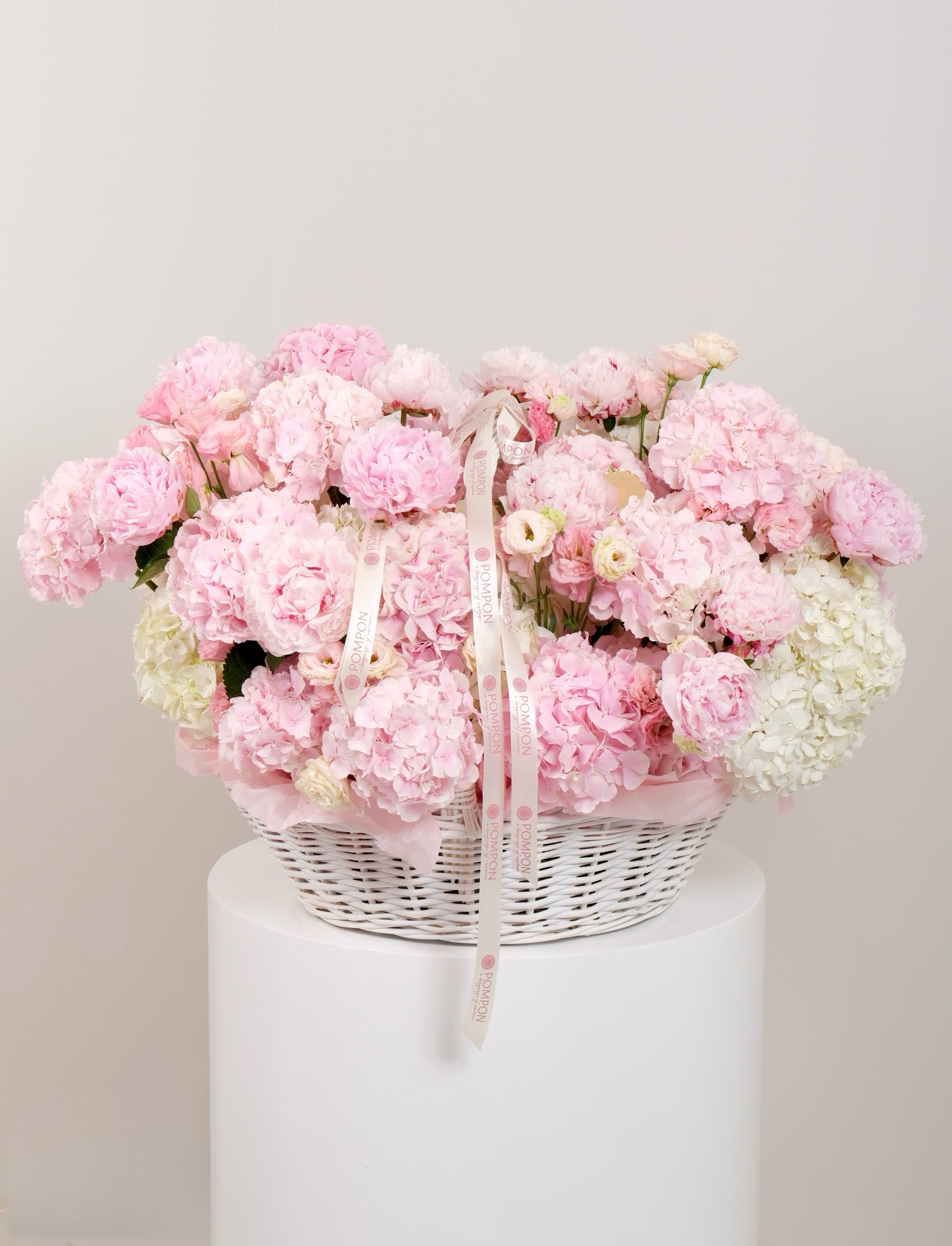 Airy Signature Bloom