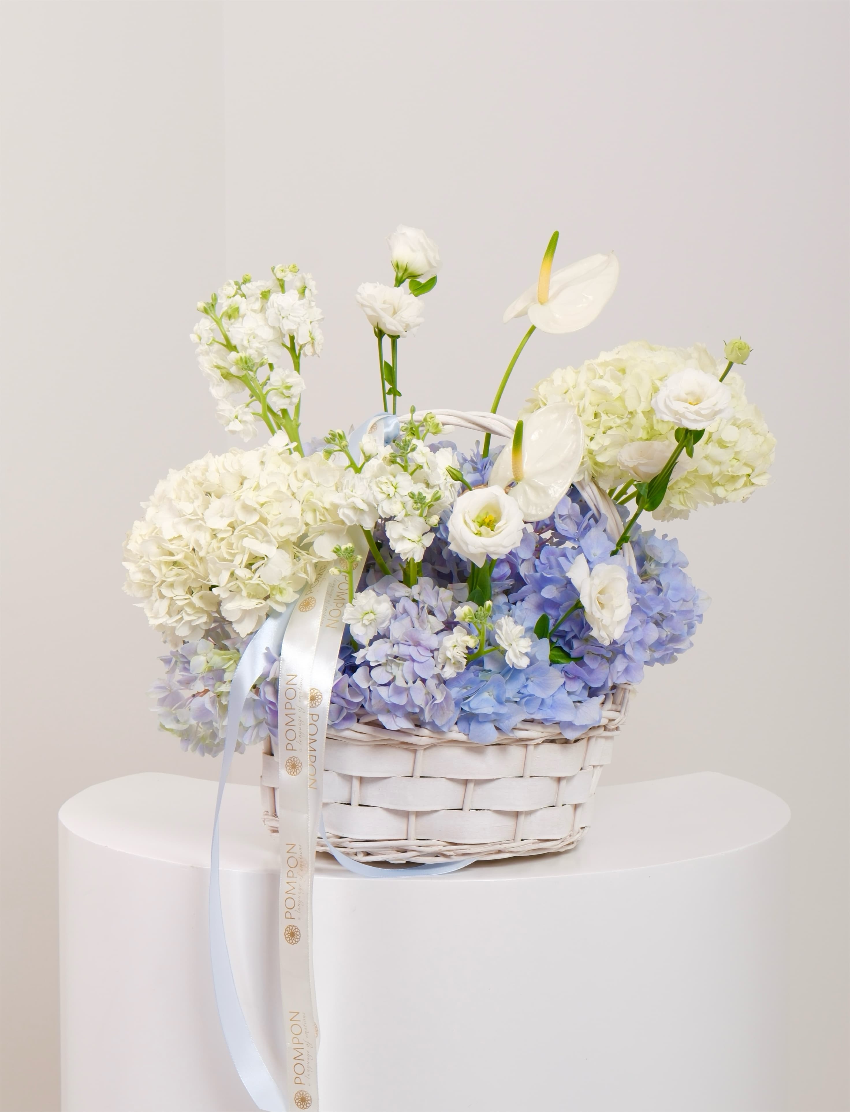 Hydrangea Basket