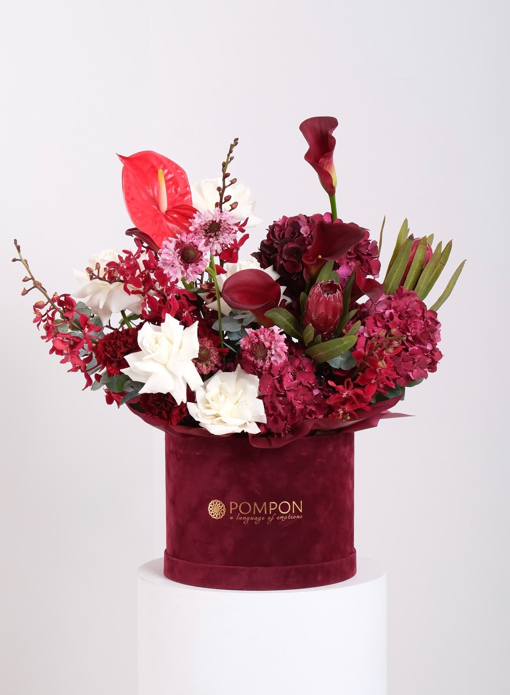 Burgundy Box