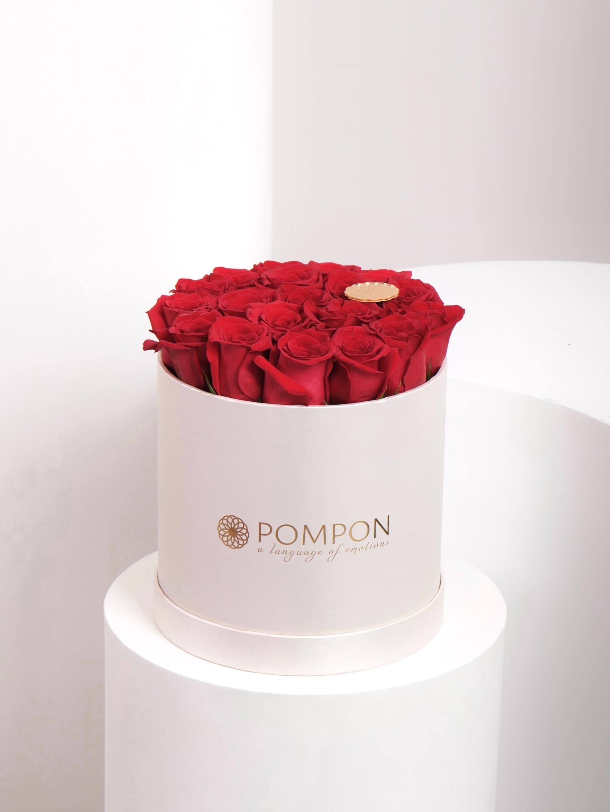 Classic Red Rose