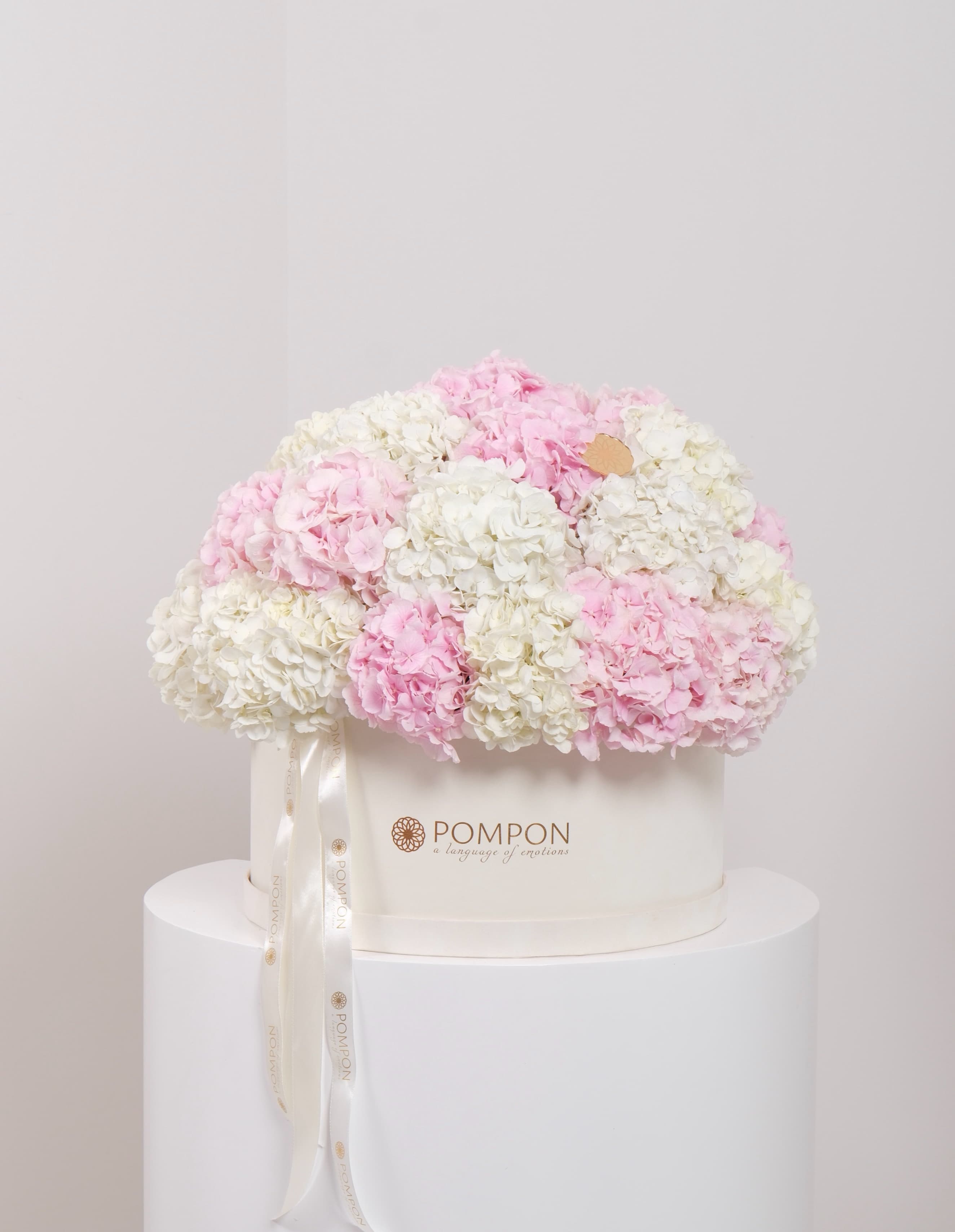 Hydrangea Box
