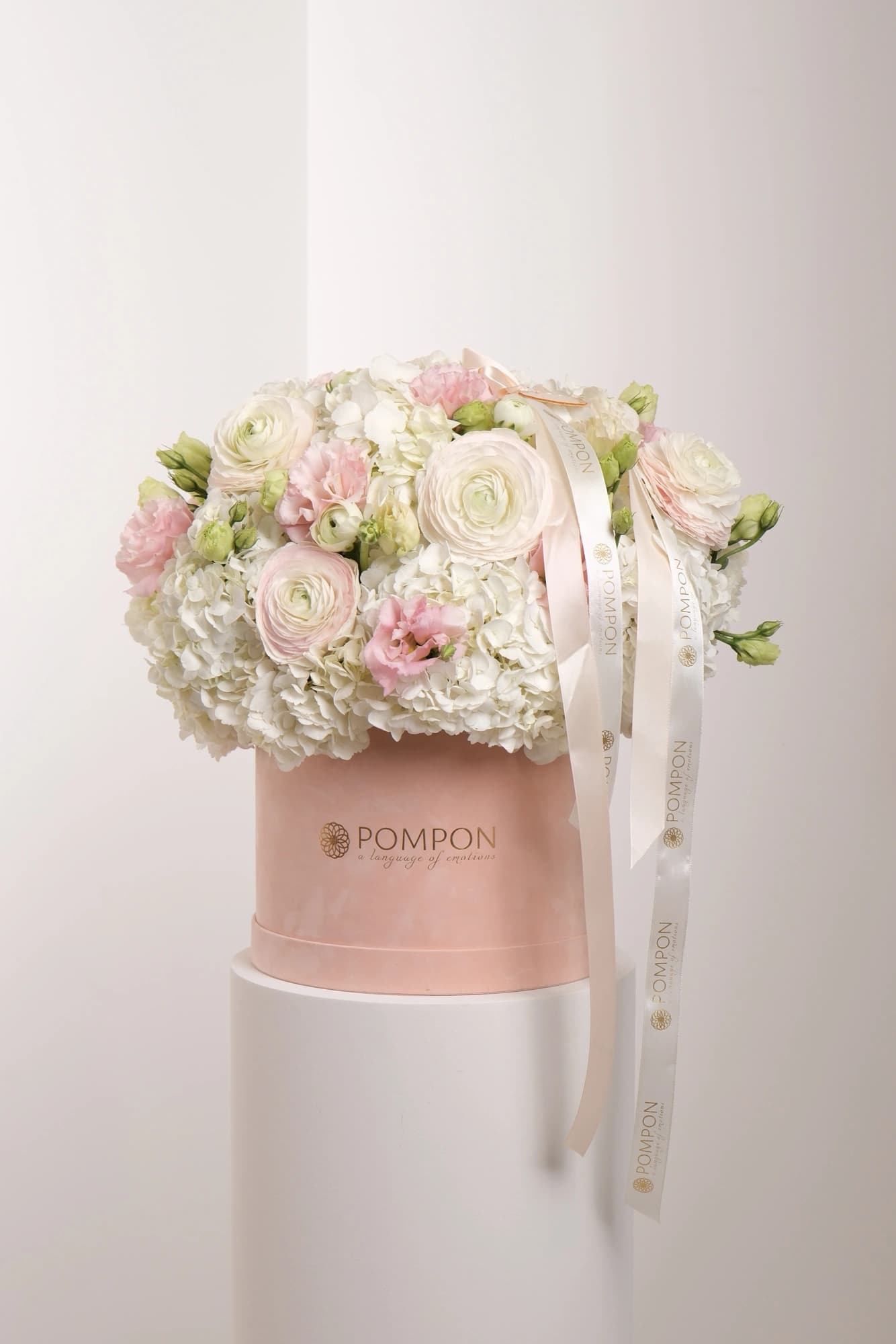 Blush Harmony