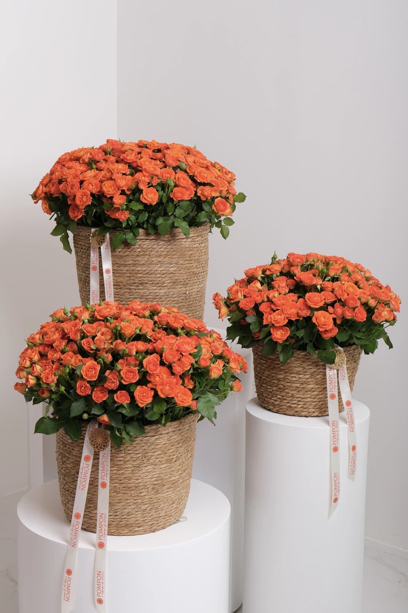 Sunset Flame Basket