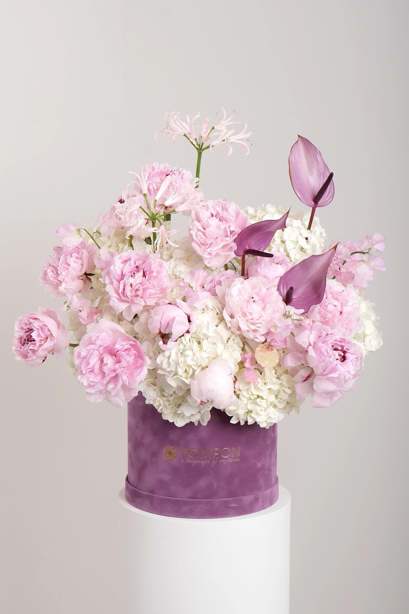 Violet Bloom